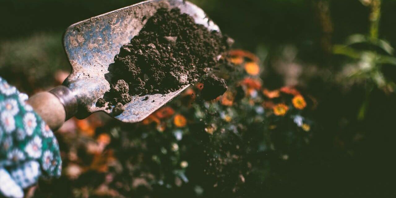 garden maintenance 4