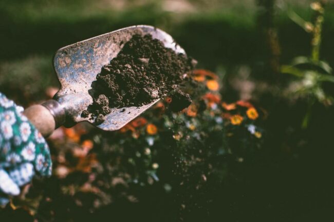 garden maintenance 4