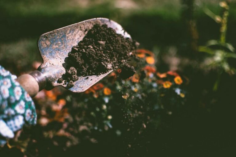 garden maintenance 4